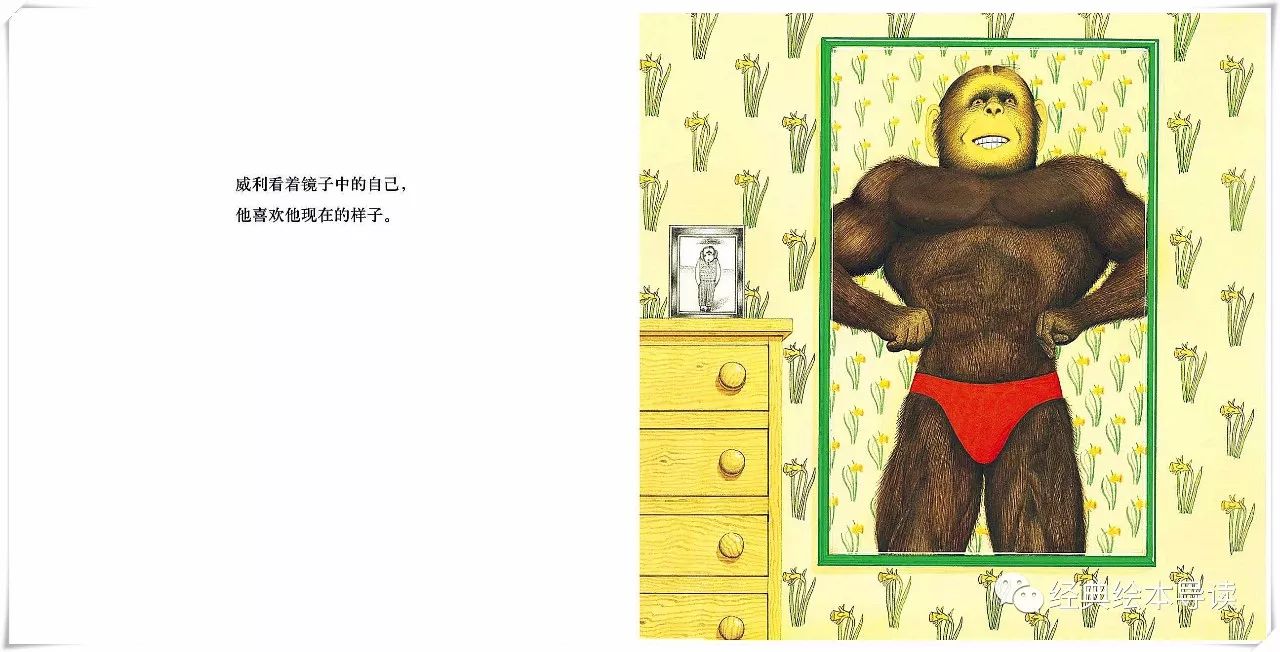 强壮才是找回自信的捷径—《胆小鬼威利》导读