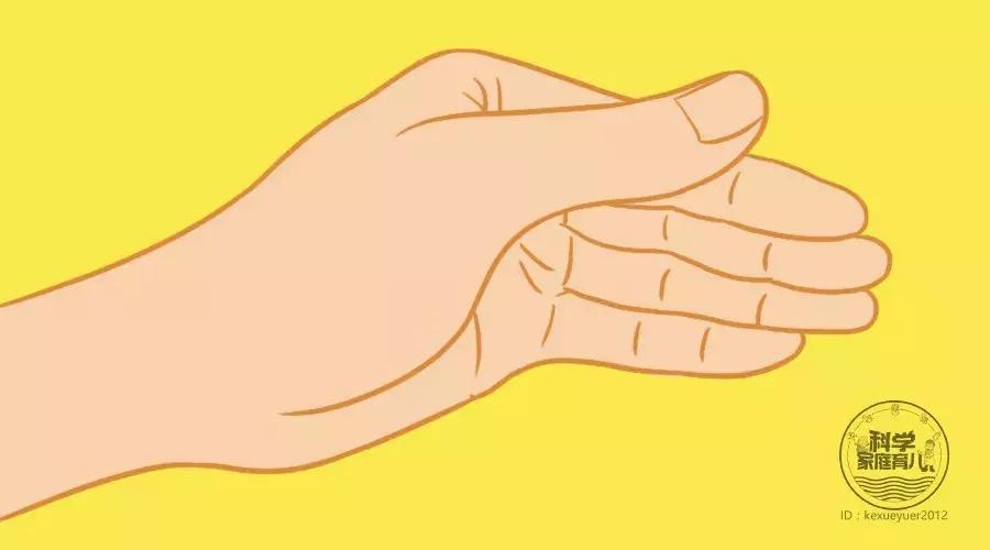 有痰用什么草药化痰祛痰,排痰止咳用什么药最好