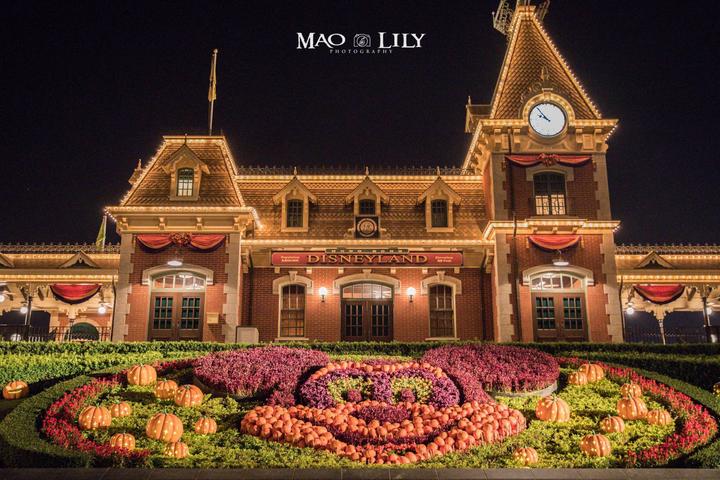 香港迪士尼乐园攻略英文,香港迪士尼乐园攻略300字