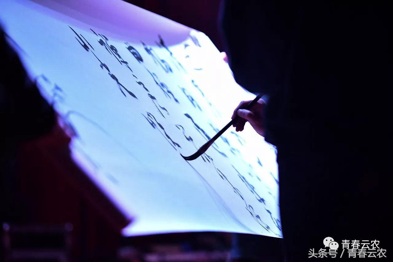 社团嘉年华会场,社团嘉年华图片大全