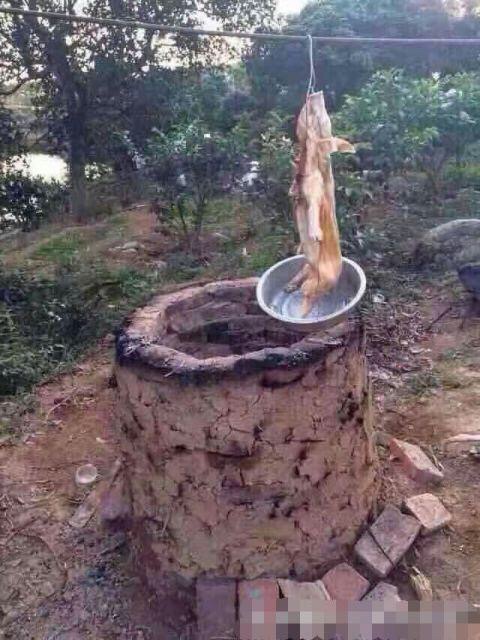 德爷野外生存烧烤,德爷野外挨饿求生视频合集