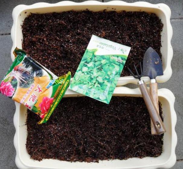 自制肥料都是什么肥料,在家怎么用普通东西来做肥料