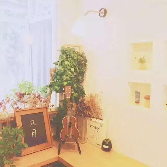 三亚鲜花网红打卡咖啡厅,三亚海边最近咖啡厅