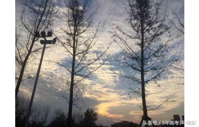 河南最牛逼的高中前十,河南省第一名是哪个高中