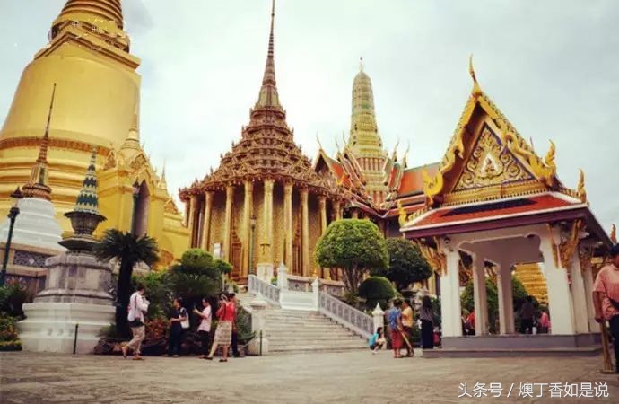 生存挑战热带雨林,生存挑战亚马逊丛林