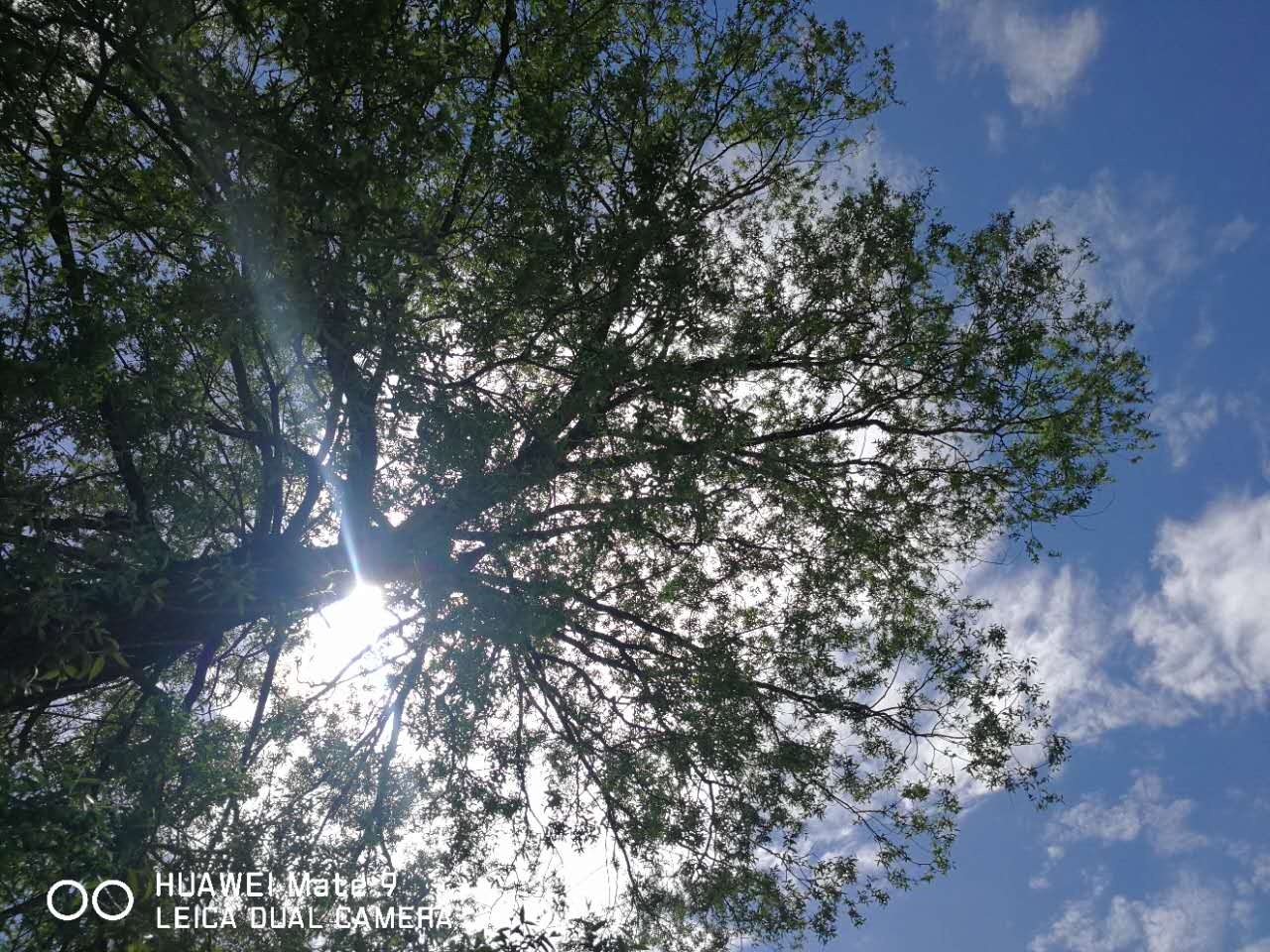 寻访北寨——高崖底、上城南、下城南、阎家寨、杏花庄