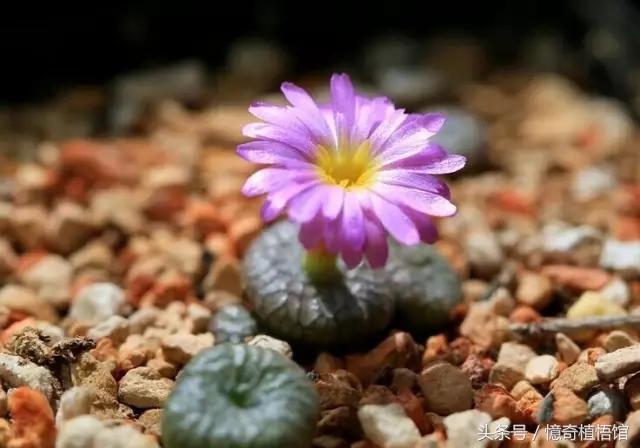 那些年，让*欲人**罢不能的屁屁！美呆了！