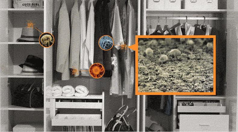 除螨仪什么牌子真的有用,除螨仪到底是什么样的好