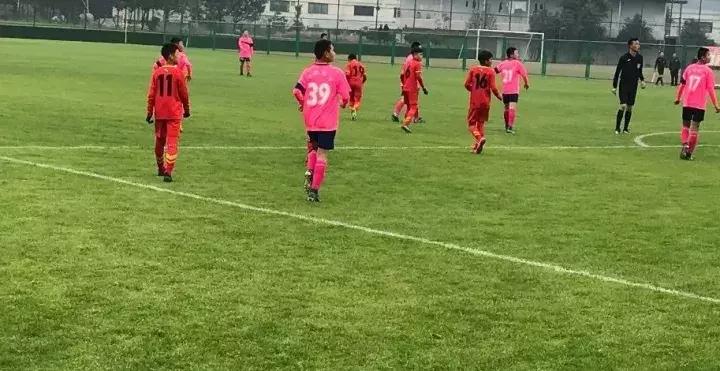 u13锦标赛河北,青岛u13省运会第26届