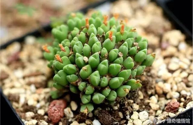 那些年，让*欲人**罢不能的屁屁！美呆了！