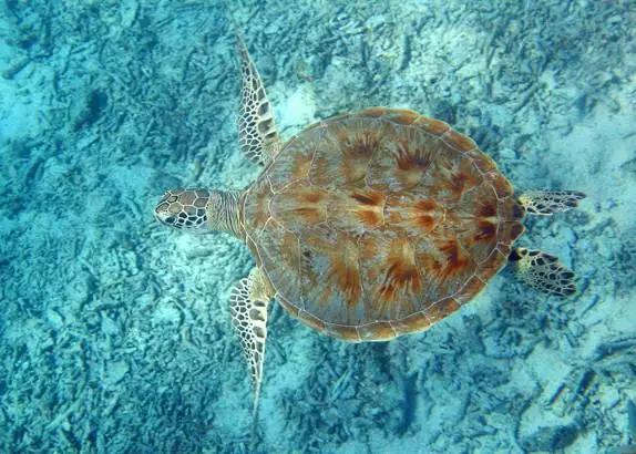 沙巴仙本那风景区,沙巴仙境