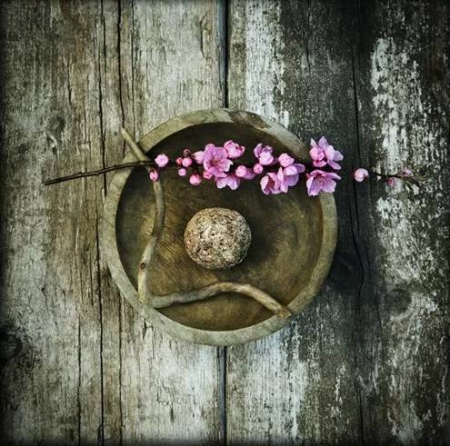 行路难诗词鉴赏,诗词赏析