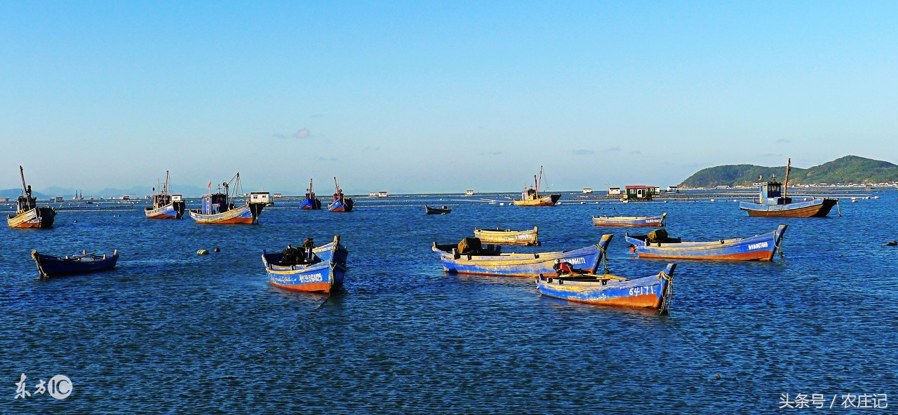 长岛十大渔家乐排名,长岛当地渔家乐三日游口碑排名
