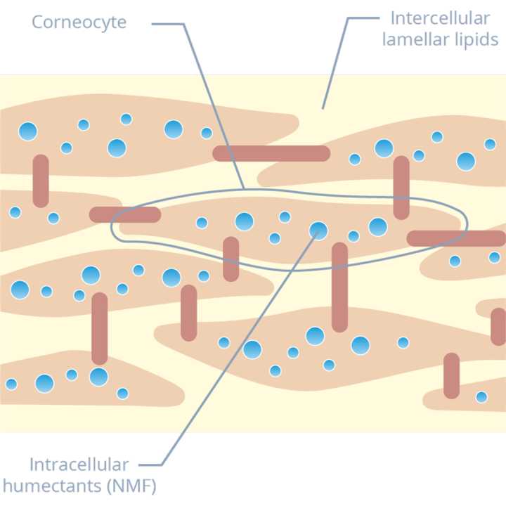 如何解决敏感肌,毛孔粗大敏感肌怎么解决