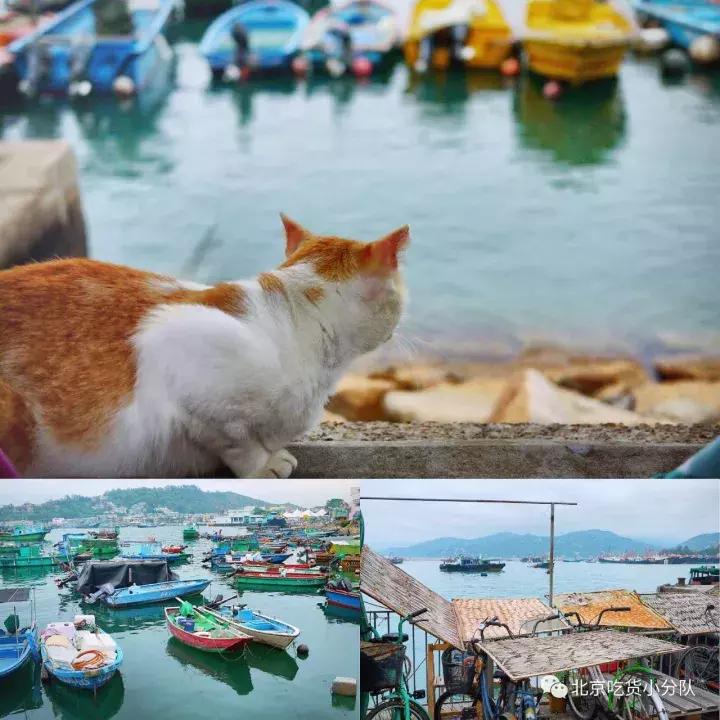 超全的香港吃喝玩乐指南！去玩的先马住~