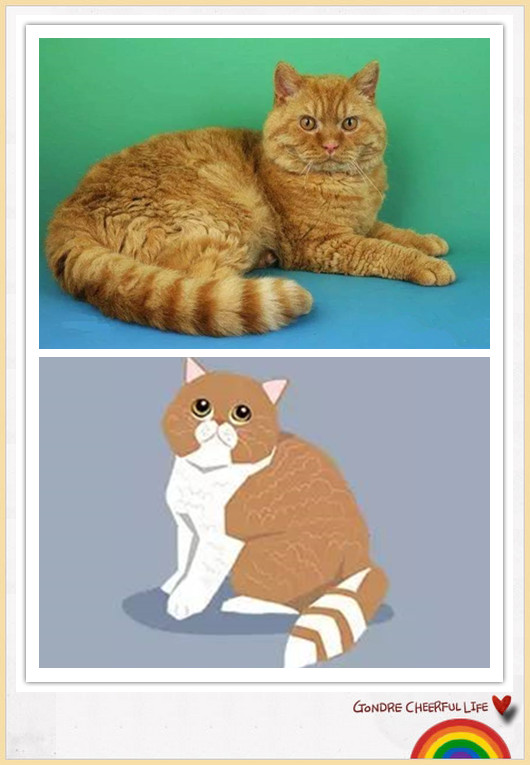 猫咪插画手绘图片,各种猫咪萌化图片