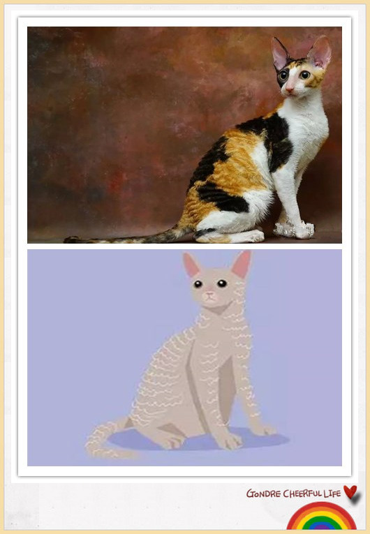 猫咪插画手绘图片,各种猫咪萌化图片