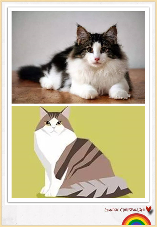 猫咪插画手绘图片,各种猫咪萌化图片