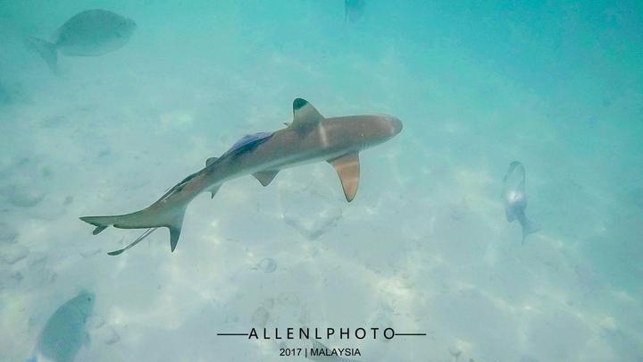 兰卡威环岛游玩攻略,兰卡威自驾环岛一圈多少时间