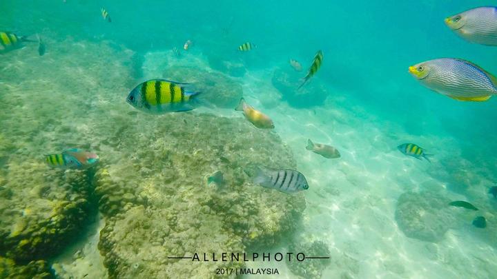 兰卡威环岛游玩攻略,兰卡威自驾环岛一圈多少时间