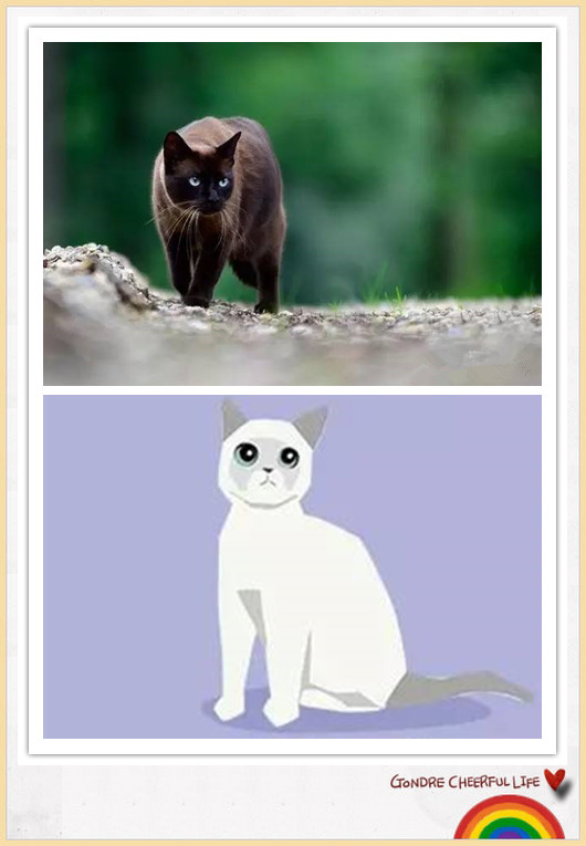 猫咪插画手绘图片,各种猫咪萌化图片