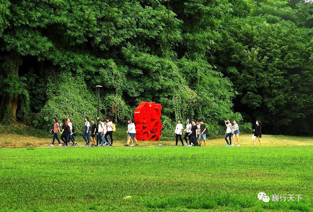 这所大学很特别，来的人都会找到逝去的校园爱情故事