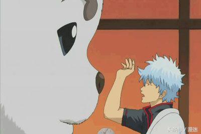 盘点全网十大网红狗狗,盘点电影中的十大狗狗明星