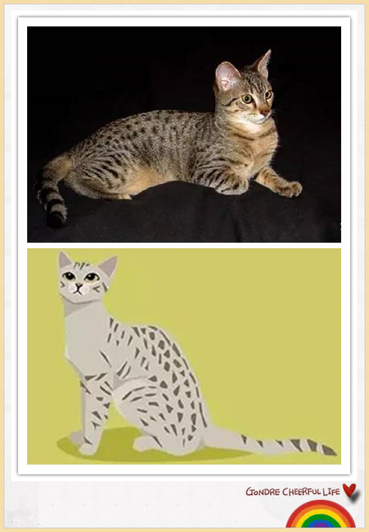 猫咪插画手绘图片,各种猫咪萌化图片