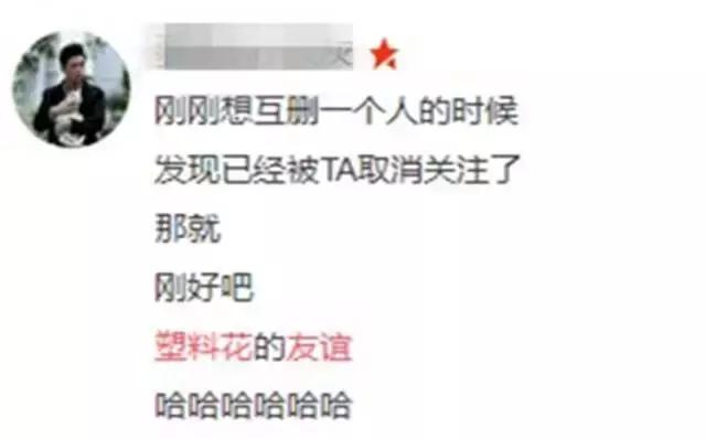 塑料花友谊完整视频,塑料姐妹花真相揭秘