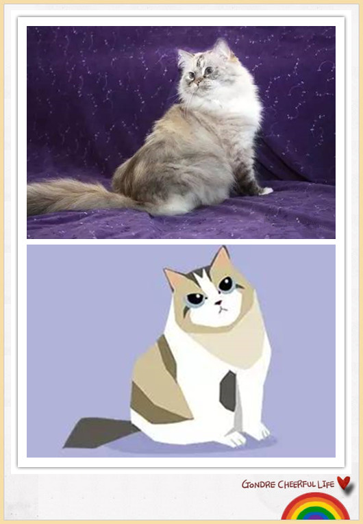 猫咪插画手绘图片,各种猫咪萌化图片