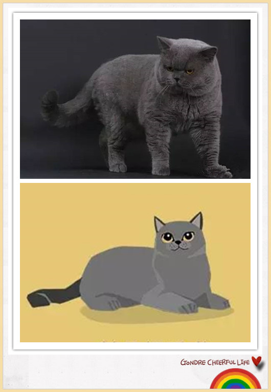 猫咪插画手绘图片,各种猫咪萌化图片