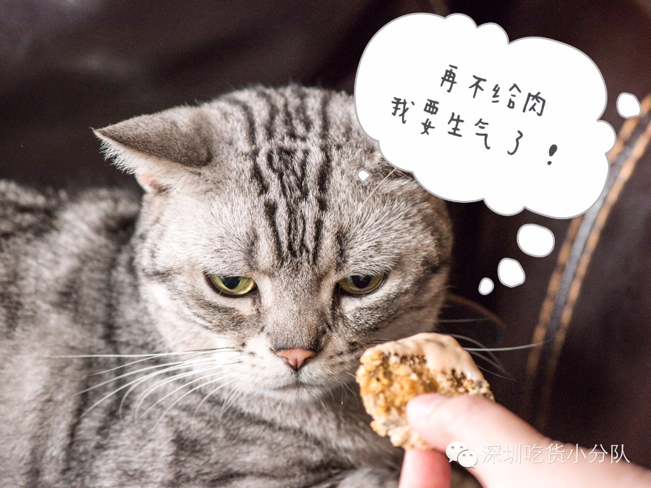 第3家店，但新来的两个男店长都不是人...