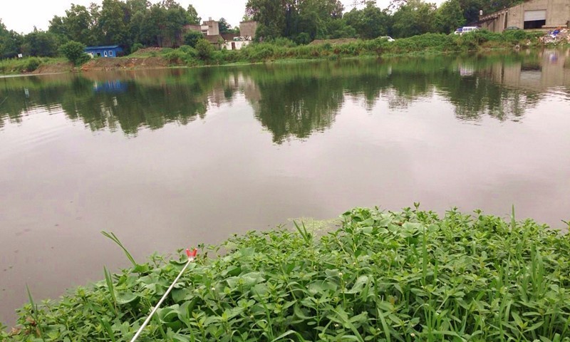 成都2020十大免费钓鱼地方,成都钓鱼地点推荐大全