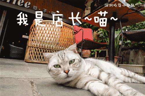 第3家店，但新来的两个男店长都不是人...