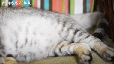 第3家店，但新来的两个男店长都不是人...