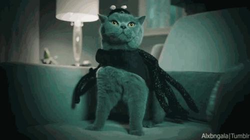 中医认为月经期可以跑步么,姨妈期跑步保命指南