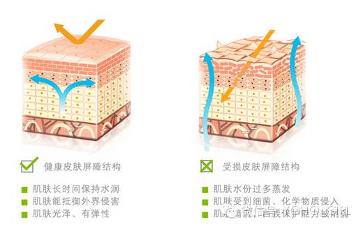 雅漾美白身体乳,美白隔离防晒乳正确使用