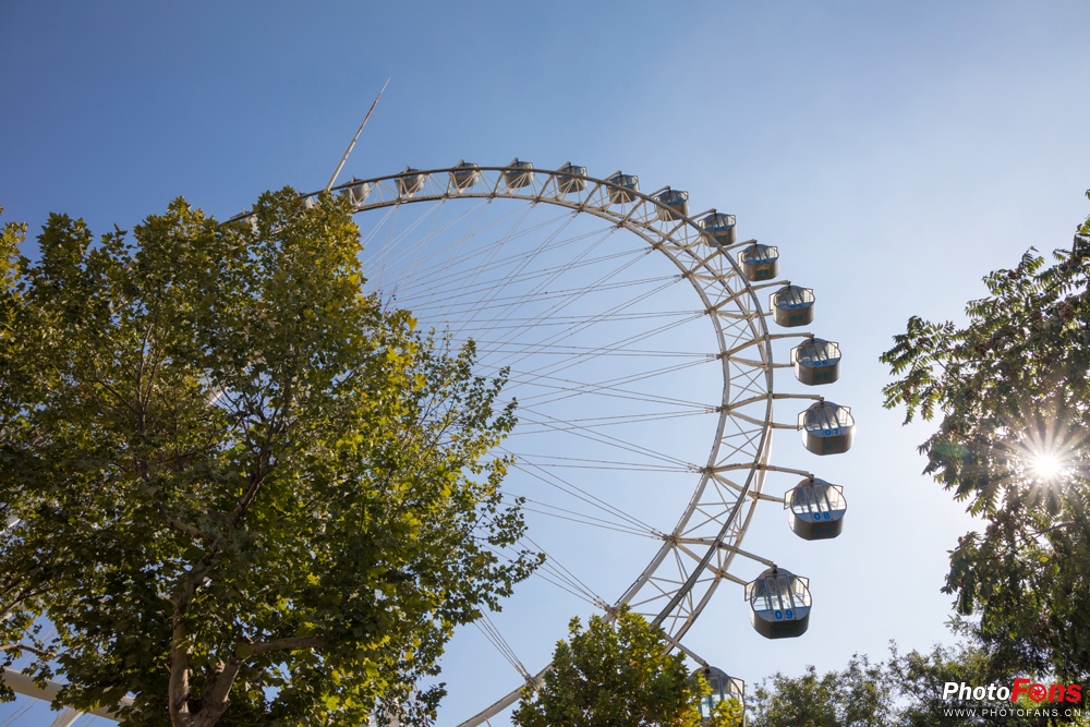 带上马儿去旅游,带着马去旅游的车