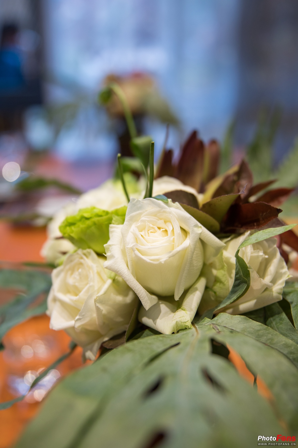 带上马儿去旅游,带着马去旅游的车