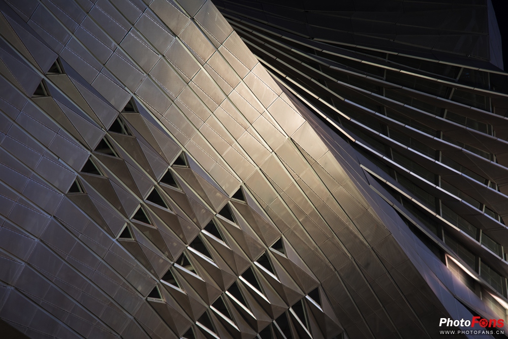 带上马儿去旅游,带着马去旅游的车