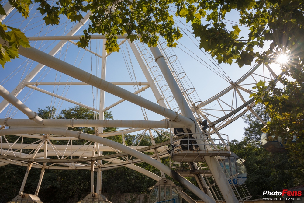 带上马儿去旅游,带着马去旅游的车