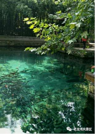 临朐风景好又凉快的地方,临朐有山有水避暑的地方