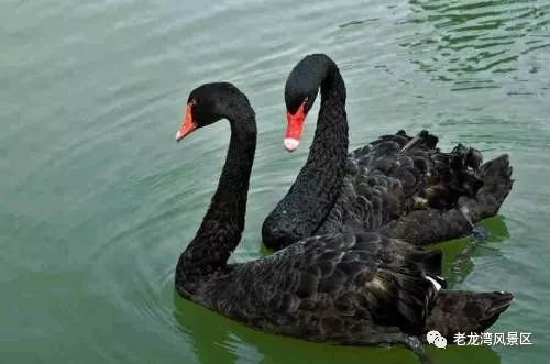 临朐风景好又凉快的地方,临朐有山有水避暑的地方