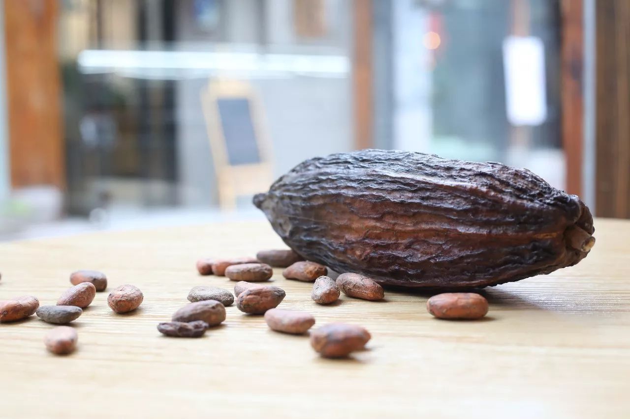 宁波巧克力工厂,宁波市巧克力