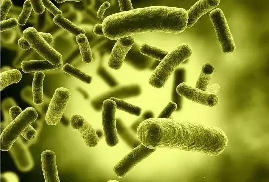 海洋护肤成分,护肤指南海洋成分