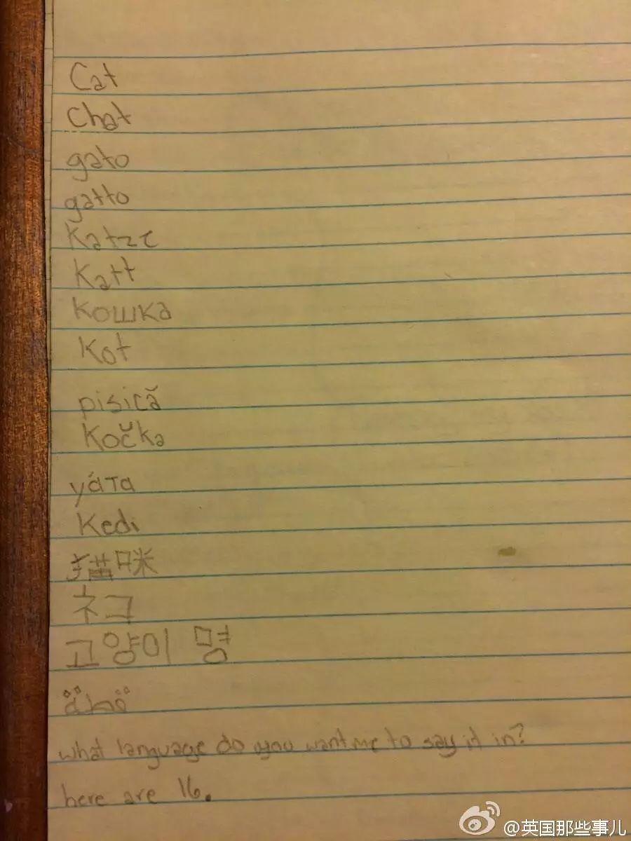 圣诞节心愿怎么写,圣诞节愿望清单素材