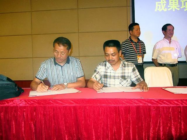 大型手工缝制机 (手工缝制小发明)