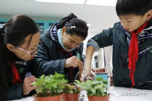 鏂版皯鏅氭姤瀛︽牎,铏规ˉ涓鍖楁牎