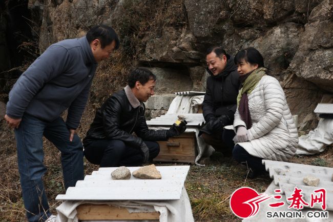 碑林区委巡察办,碑林区委常设巡察组