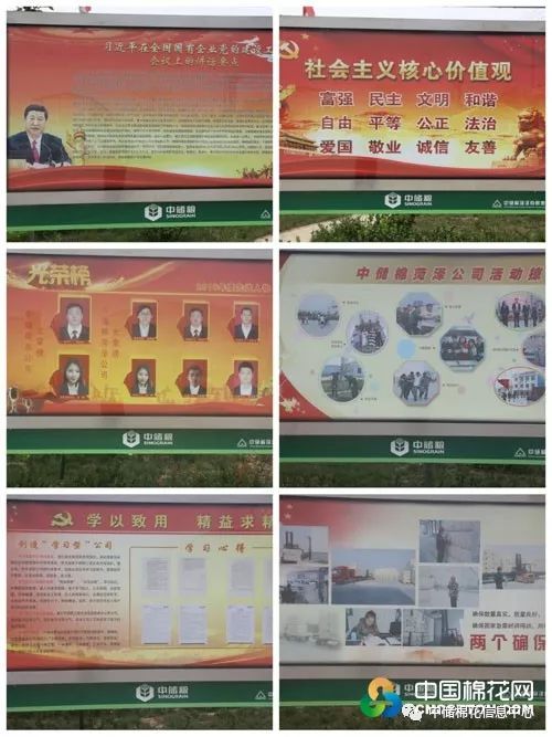 菏泽中储棉最新消息,菏泽中储棉现状